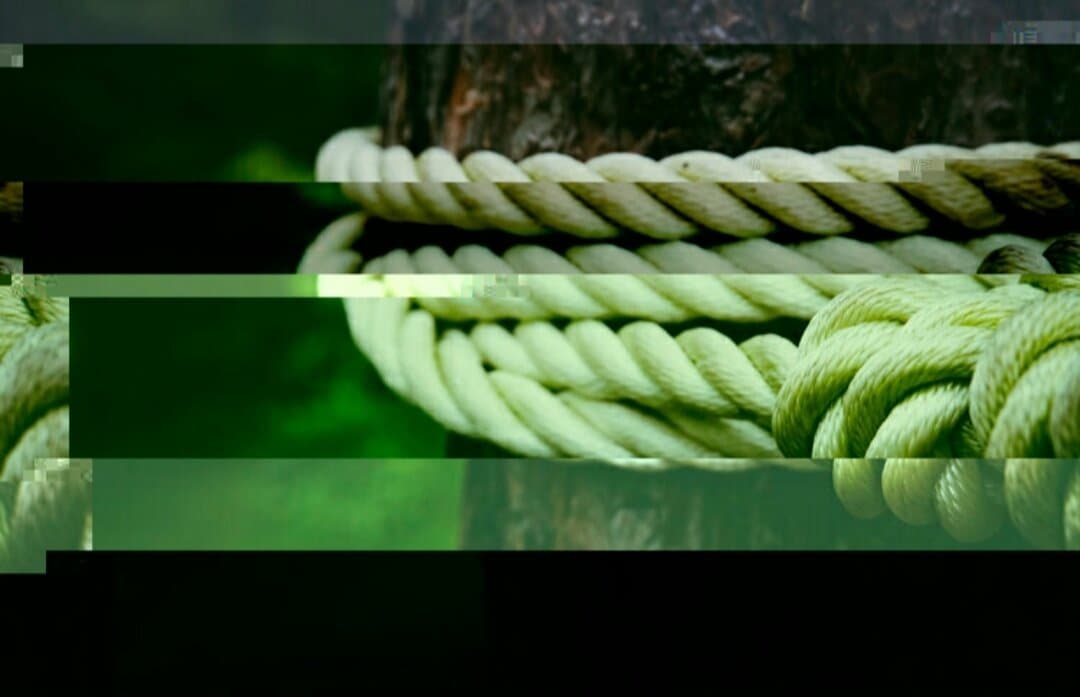 Glitch-effect photo of a rope wound tight around a tree trunk